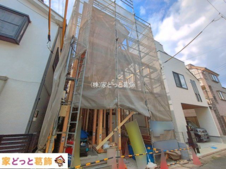 ���n�O�ώʐ^ �B�e��(2026-09-02 00:00:00)