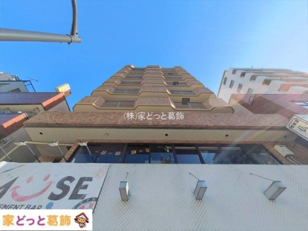 ���n�O�ώʐ^ �B�e��(2026-02-09 00:00:00)