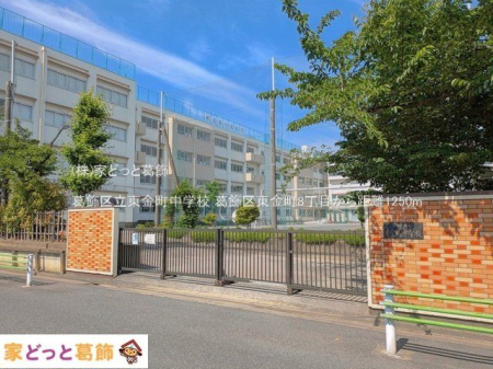 ���ӊ� �����旧���������w�Z �B�e��(2025-06-01) 1250m