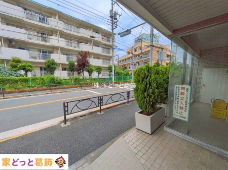 ���n�O�ώʐ^ �B�e��(2026-06-05 00:00:00)