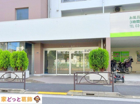 �G���g�����X �B�e��(2024-10-11 00:00:00)