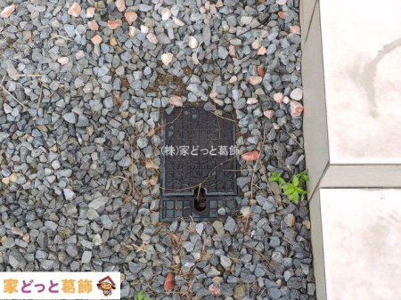 ���n�O�ώʐ^ �B�e��(2026-09-11 00:00:00)