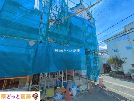 ���n�O�ώʐ^ �B�e��(2026-09-17)