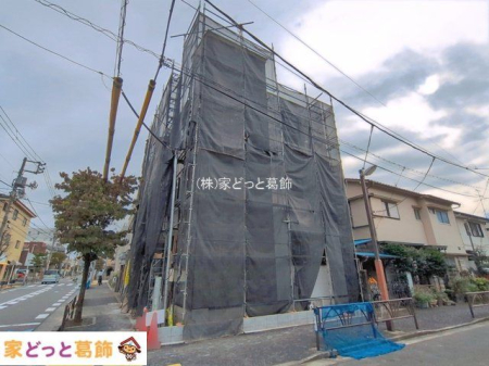 ���n�O�ώʐ^ �B�e��(2026-10-06 00:00:00)