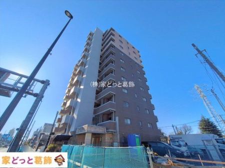 ���n�O�ώʐ^ �B�e��(2026-02-03)