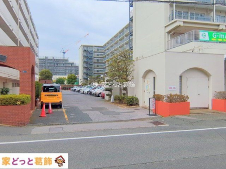 ���n�O�ώʐ^ �B�e��(2025-03-11 00:00:00)