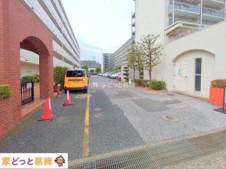 ���n�O�ώʐ^ �B�e��(2025-03-11 00:00:00)