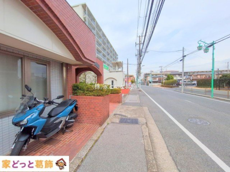 ���n�O�ώʐ^ �B�e��(2025-03-11 00:00:00)