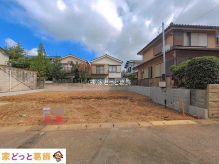 ���n�O�ώʐ^ �B�e��(2026-08-10 00:00:00)