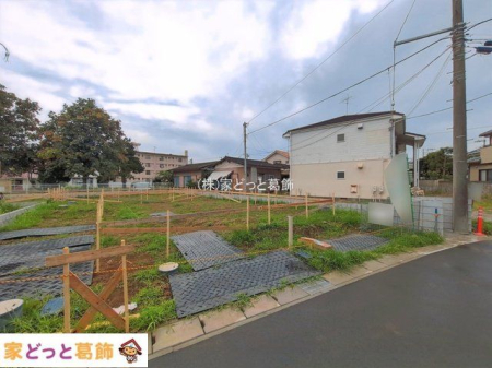 ���n�O�ώʐ^ �B�e��(2026-09-04 00:00:00)