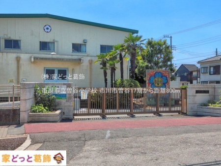 ���ӊ� �s��s���]�J���w�Z �B�e��(2026-07-10) 800m