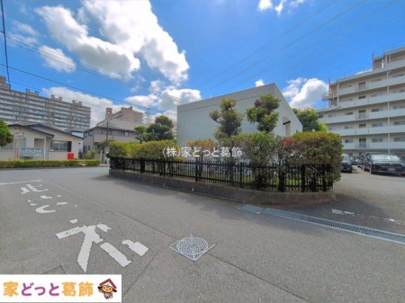 ���n�O�ώʐ^ �B�e��(2026-08-04 00:00:00)