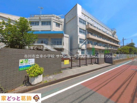 ���ӊ� �s��s���K���w�Z �B�e��(2026-07-15) 750m