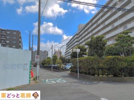���n�O�ώʐ^ �B�e��(2026-08-04 00:00:00)