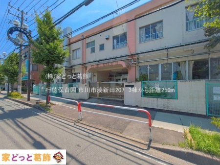 ���ӊ� �s���ۈ牀 �B�e��(2026-07-15) 250m