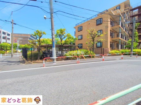 ���n�O�ώʐ^ �B�e��(2025-05-07 00:00:00)