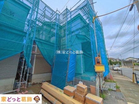 ���n�O�ώʐ^ �B�e��(2026-08-31 00:00:00)