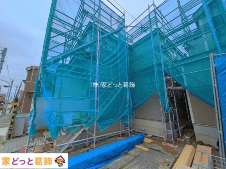 ���n�O�ώʐ^ �B�e��(2026-08-31 00:00:00)