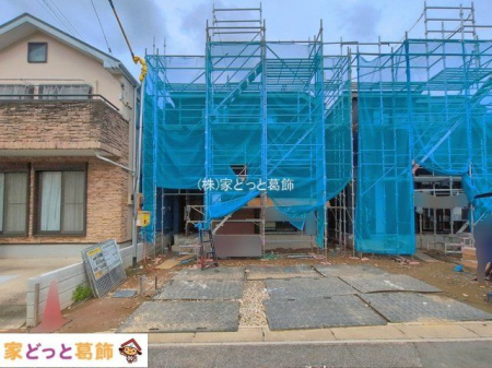 ���n�O�ώʐ^ �B�e��(2026-08-31 00:00:00)