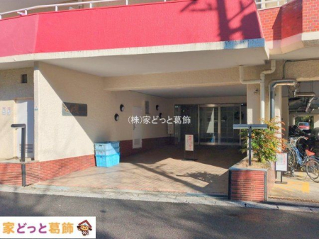 �G���g�����X �B�e��(2025-01-20)