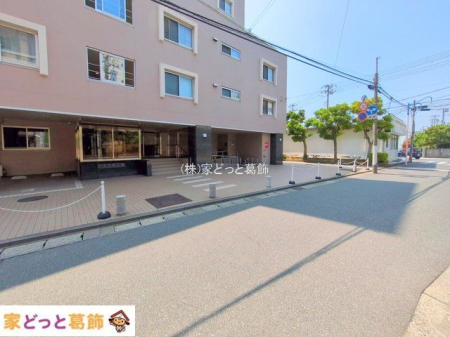 ���n�O�ώʐ^ �B�e��(2025-07-08 00:00:00)