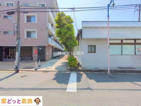 ���n�O�ώʐ^ �B�e��(2025-07-08 00:00:00)
