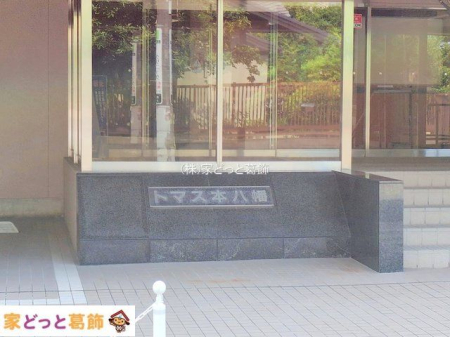 �G���g�����X �B�e��(2025-07-08 00:00:00)