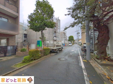 ���n�O�ώʐ^ �B�e��(2026-10-05 00:00:00)