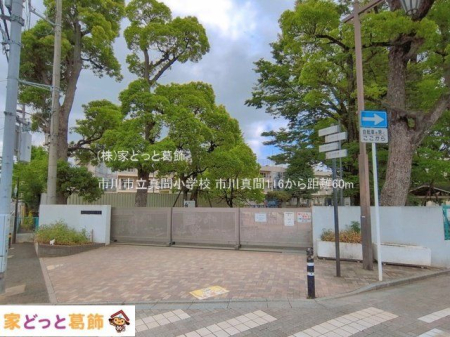 ���ӊ� �s��s���^�ԏ��w�Z �B�e��(2026-05-27) 60m