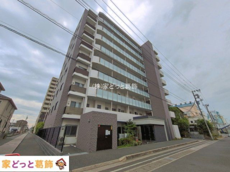 ���n�O�ώʐ^ �B�e��(2026-09-04)