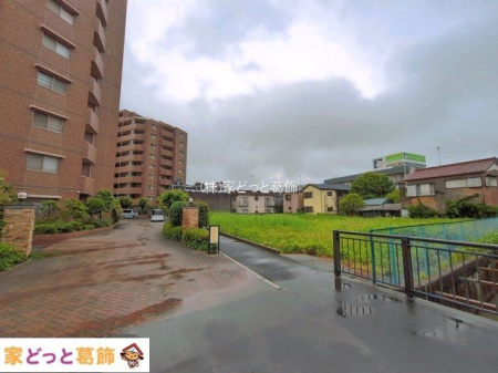 ���n�O�ώʐ^ �B�e��(2026-05-22 00:00:00)