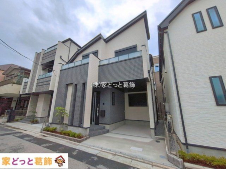 ���n�O�ώʐ^ �B�e��(2026-06-15)