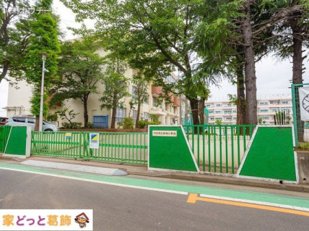 ӊ s菬wZ Be(2022-06-23) 290m