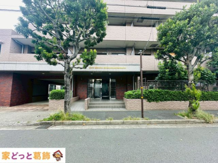 nOώʐ^ O