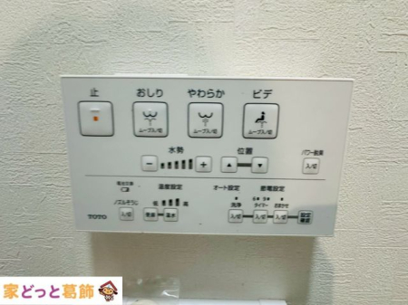 ̑ ݔ