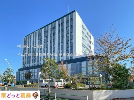 ӊ CXa@ Be(2023-11-16) 1000m