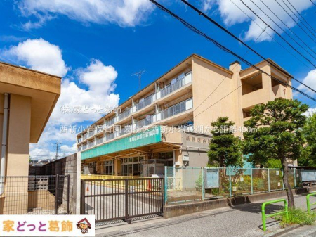 ���ӊ� ���V����ۈ牀 �B�e��(2021-08-03) 490m