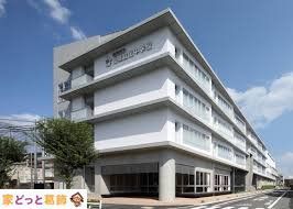 ӊ nc旧ڗԒwZ k4B 270m