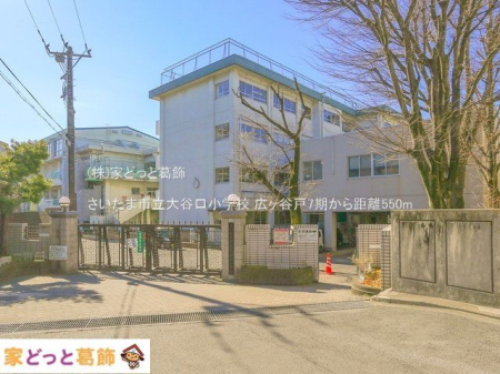 ӊ ܎sJwZ Be(2023-01-31) 550m