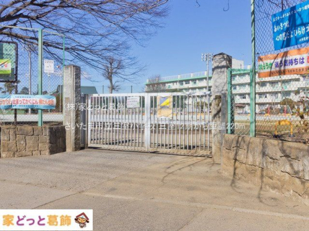 ӊ ܎sOwZ Be(2021-02-09) 220m