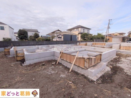 ���n�O�ώʐ^ �B�e��(2025-11-11 00:00:00)