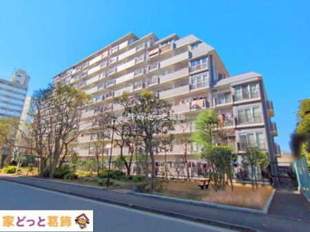 nOώʐ^ Be(2025-01-22)