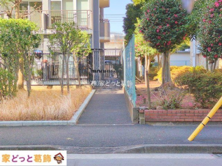 nOώʐ^ Be(2025-01-22 00:00:00)