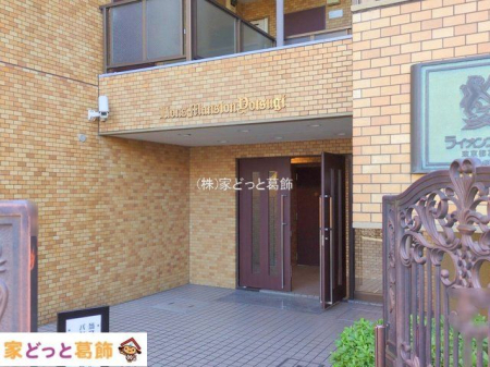 �G���g�����X �B�e��(2025-11-17)