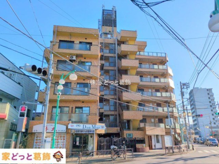 ���n�O�ώʐ^ �B�e��(2025-11-17 00:00:00)