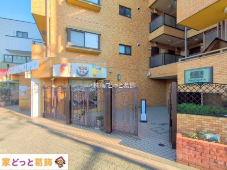 �G���g�����X �B�e��(2025-11-17 00:00:00)