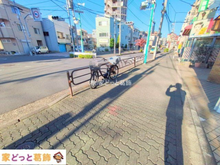 ���n�O�ώʐ^ �B�e��(2025-11-17 00:00:00)