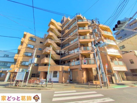 ���n�O�ώʐ^ �B�e��(2025-11-17 00:00:00)