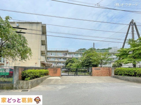 ӊ ˎsZwZ Be(2024-07-08) 2290m