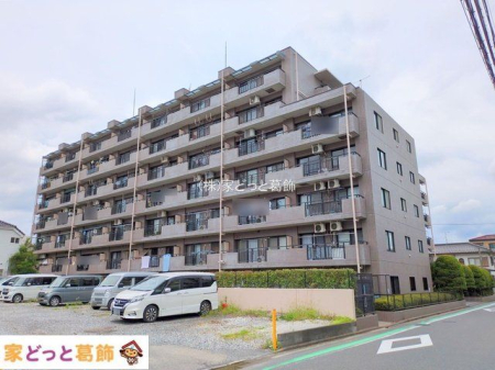 nOώʐ^ Be(2025-06-26 00:00:00)